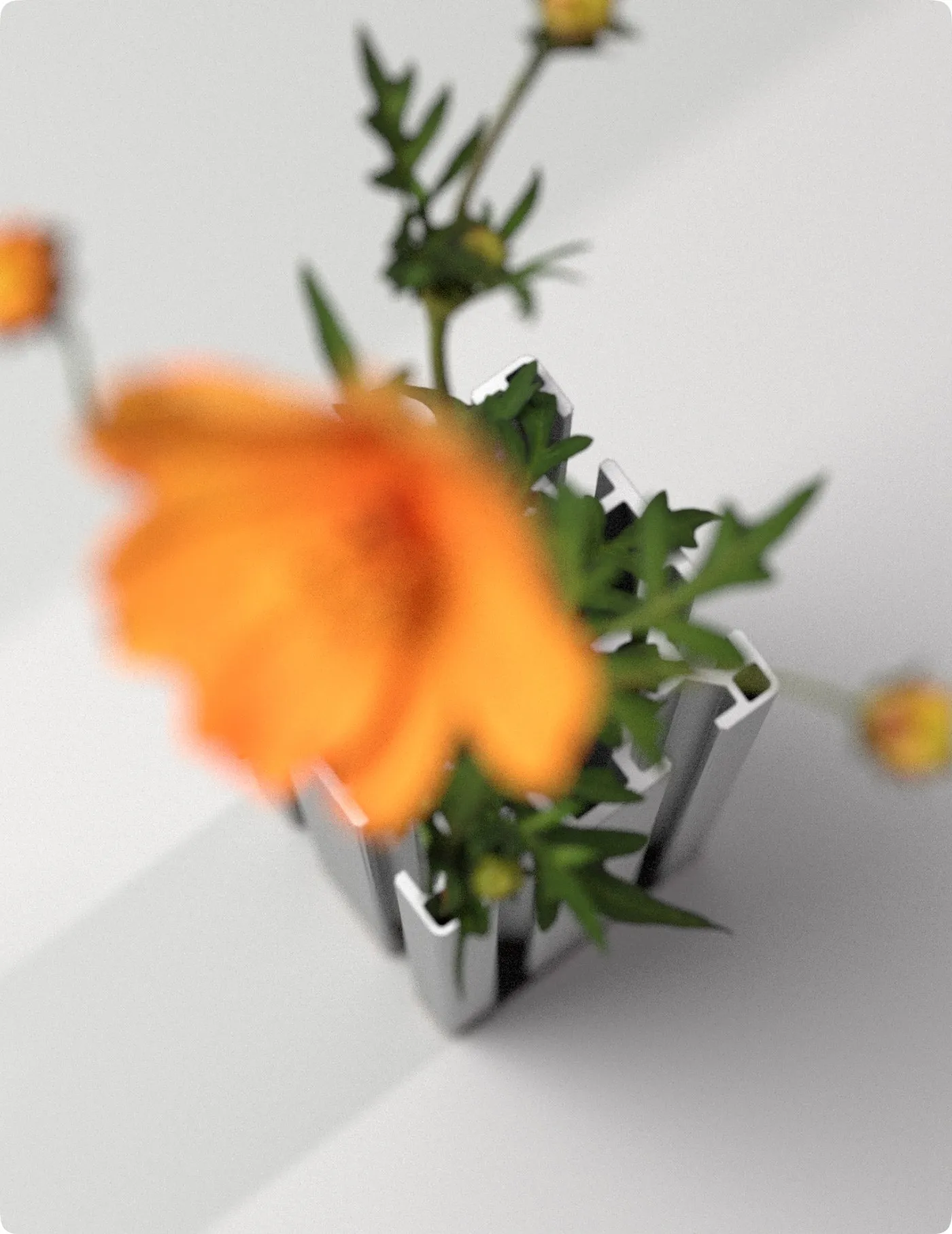 Type 660 vase from above with an orange flower